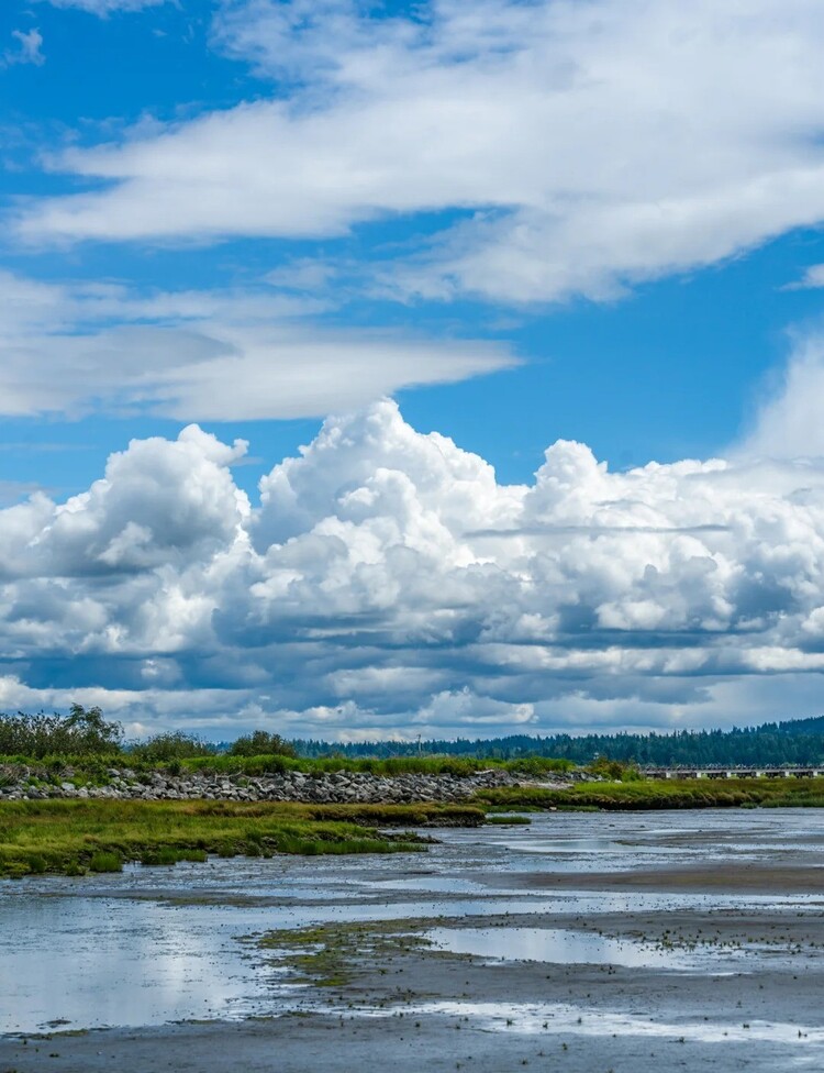 background bầu trời