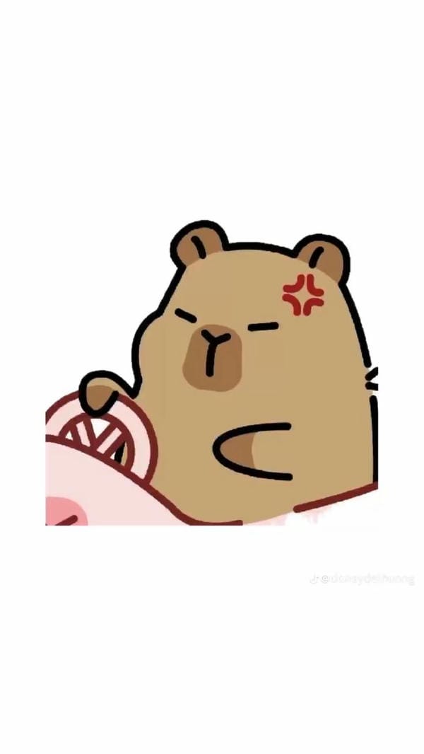 capybara chibi lái xe