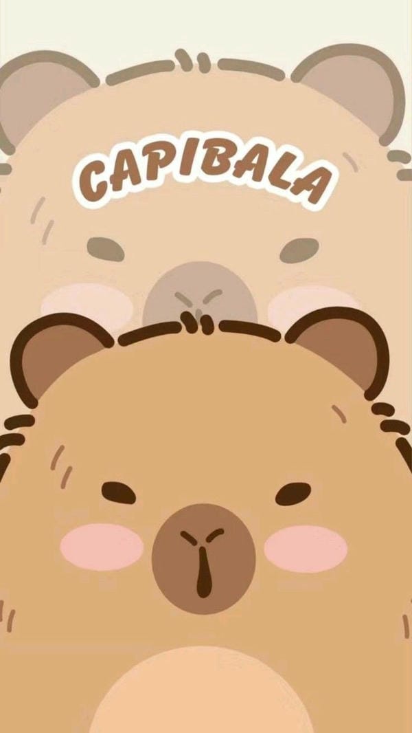 capybara chibi nhìn