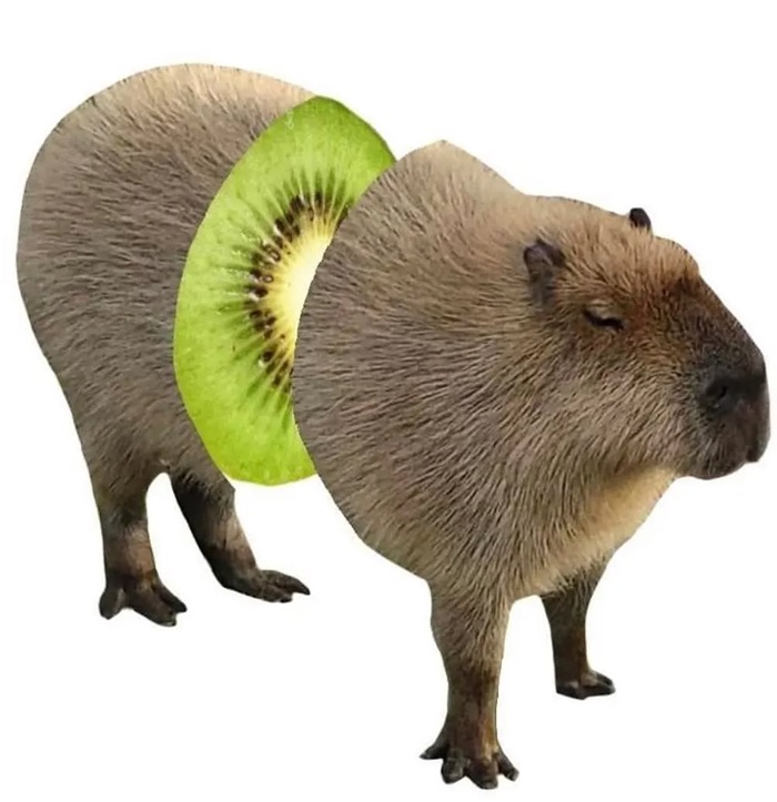 hình ảnh capybara cute