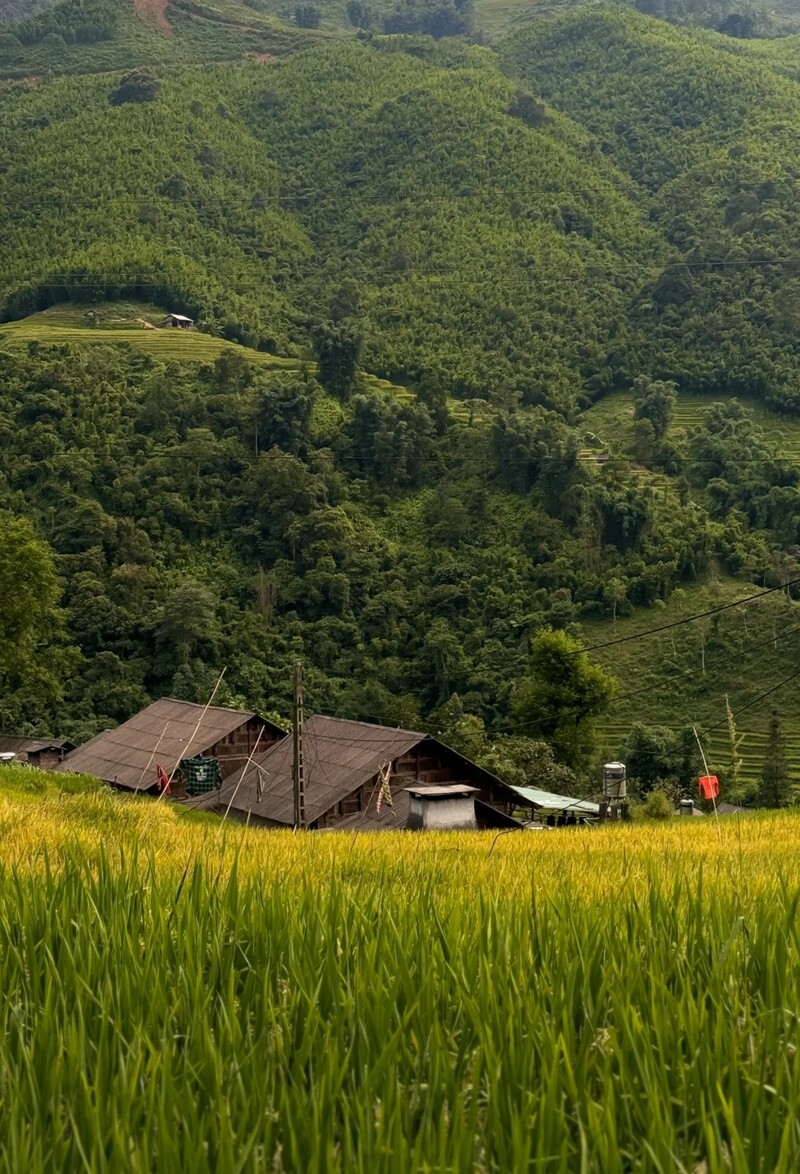 hình ảnh sa pa