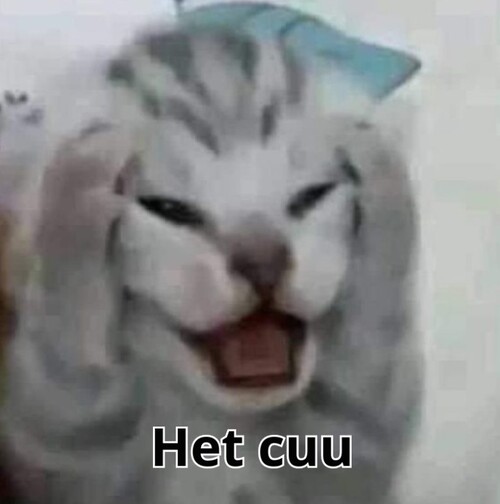 meme cứu